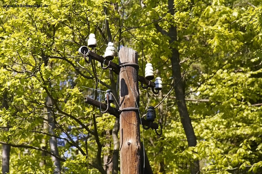_MG_5134.JPG