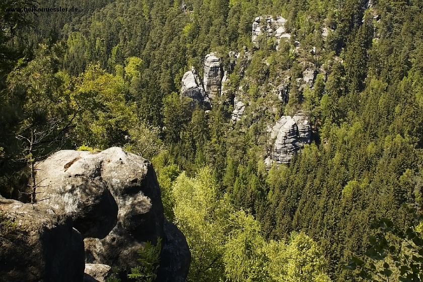 _MG_5158.JPG
