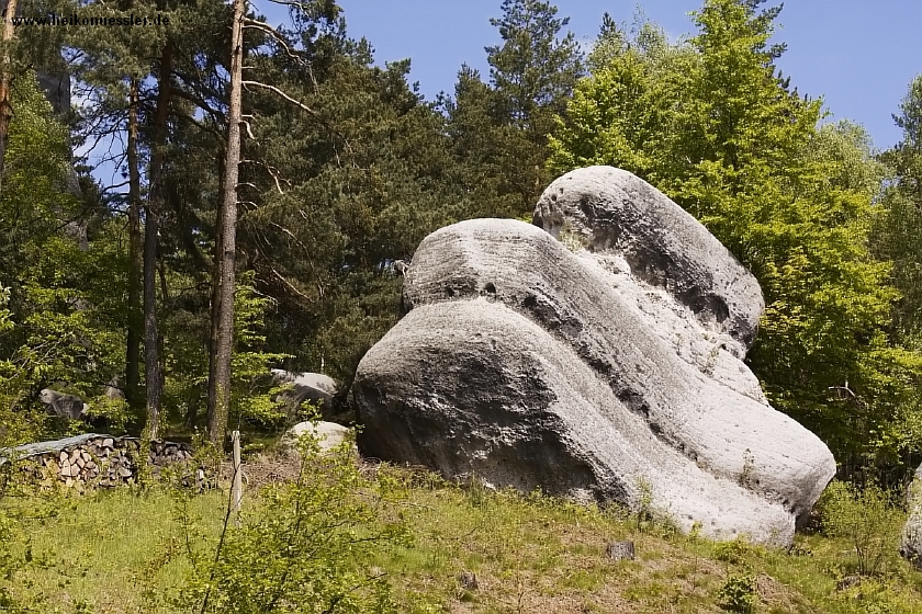 _MG_5161.JPG