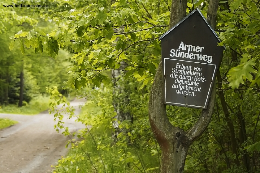 _MG_5162.JPG